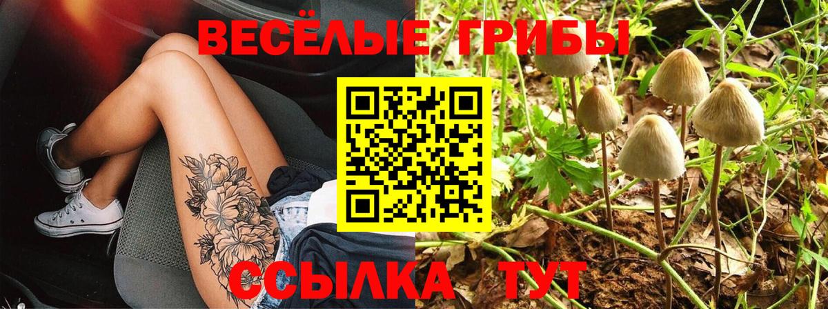 Кимры  купить наркоту  Псилоцибиновые грибы MAGIC MUSHROOMS  Вход с VPN  Галлюциногенные грибы Cubensis 