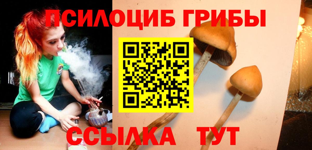 Псилоцибиновые грибы GOLDEN TEACHER Кимры